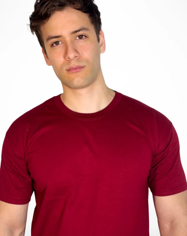 PACK REMERAS ALGODON PEINADO UNISEX x 5 unidades 1